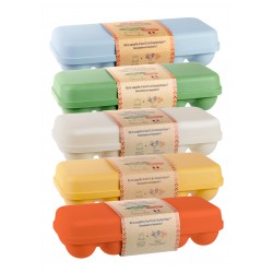 Boite 10 oeufs biorecyclée