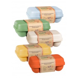 Boite 6 oeufs recyclée